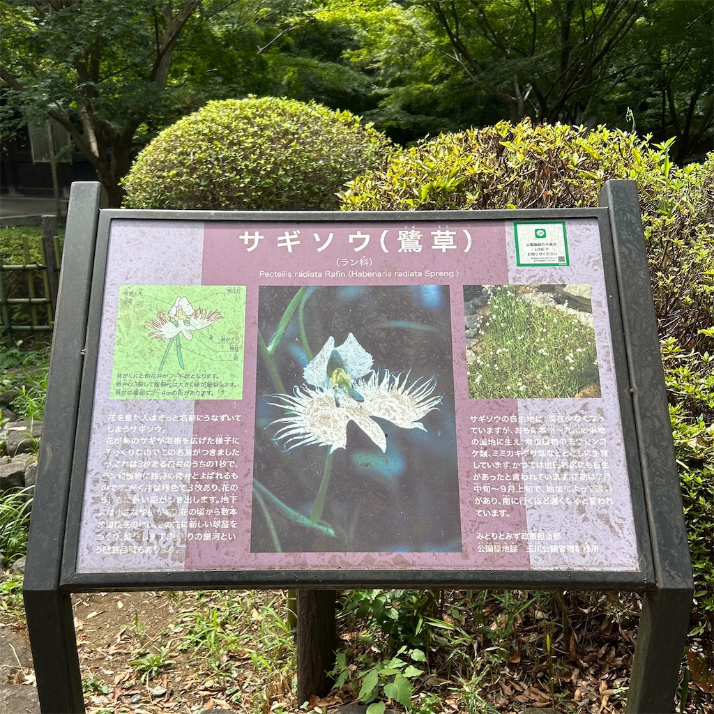 f:id:koshikakeol:20250808165206j:image