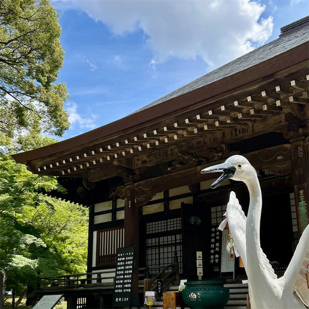 f:id:koshikakeol:20250808165245j:image