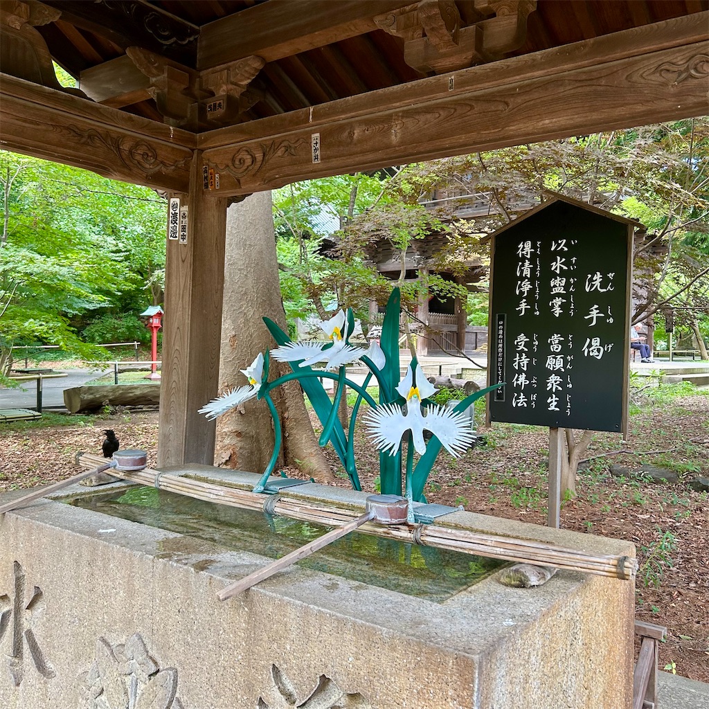 f:id:koshikakeol:20250808165409j:image
