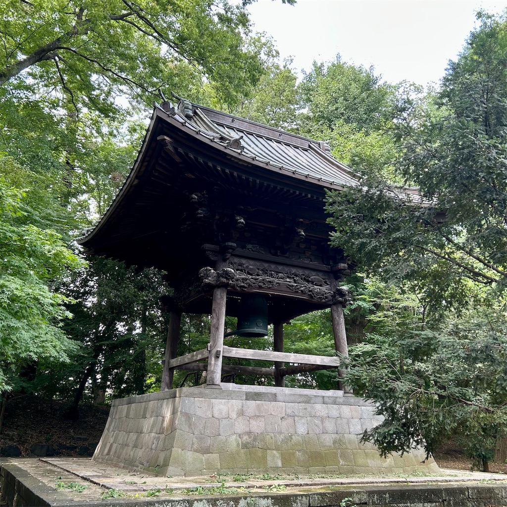 f:id:koshikakeol:20250808192502j:image