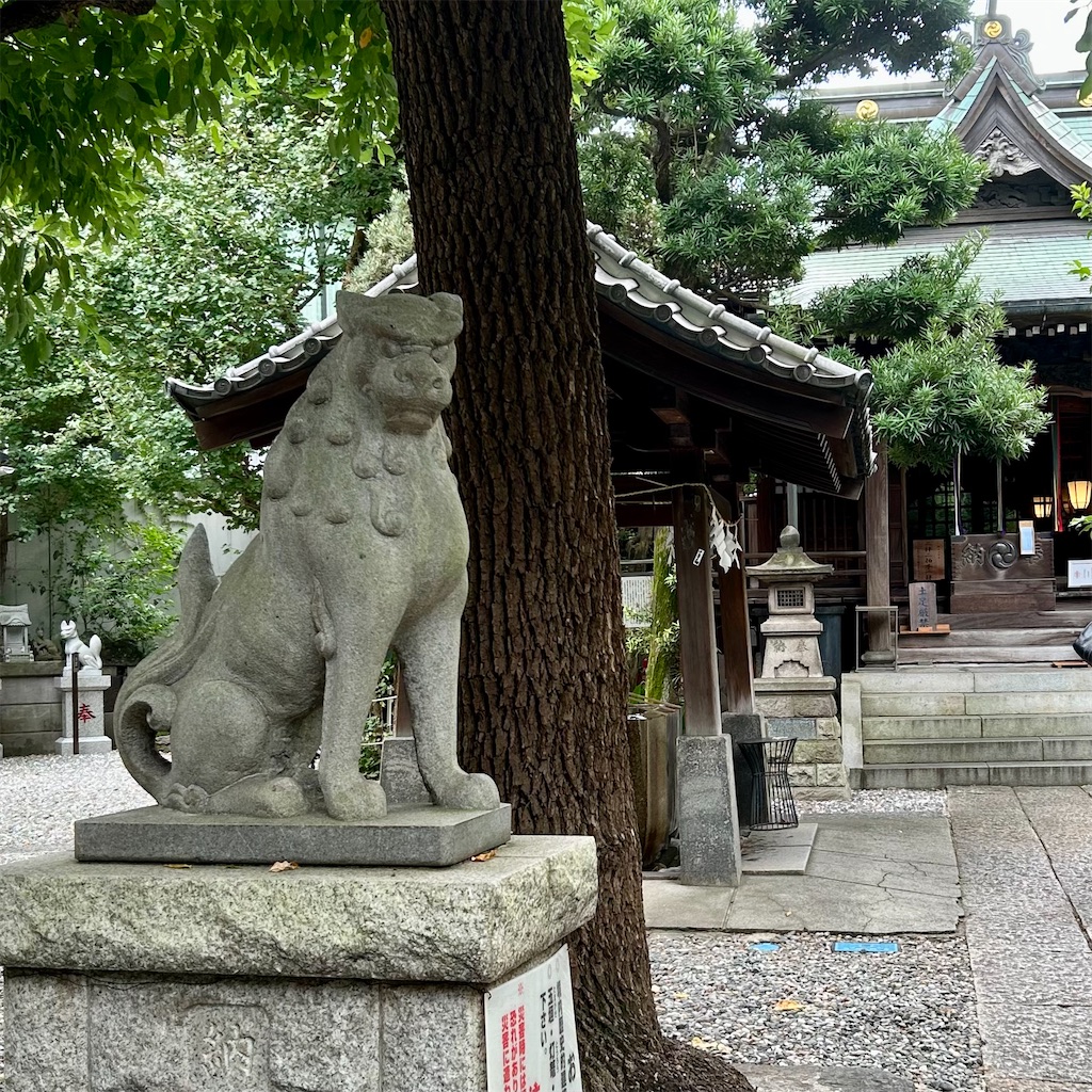 f:id:koshikakeol:20250829143904j:image
