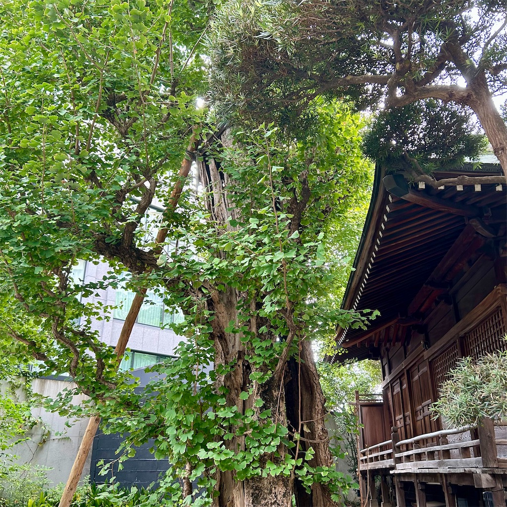 f:id:koshikakeol:20250829143956j:image