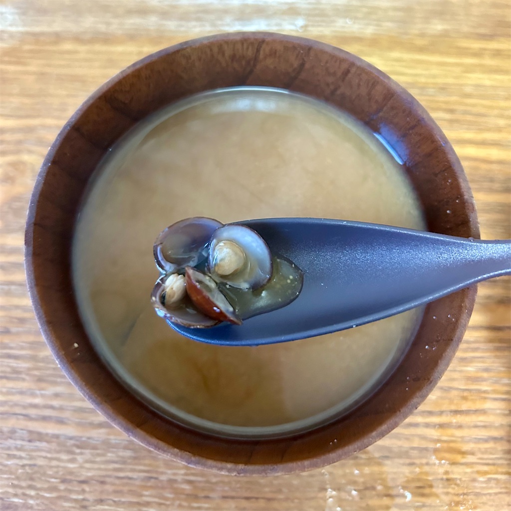 f:id:koshikakeol:20251028102912j:image