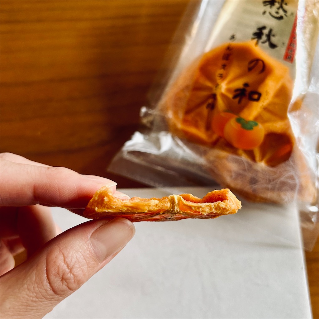 f:id:koshikakeol:20251101124105j:image