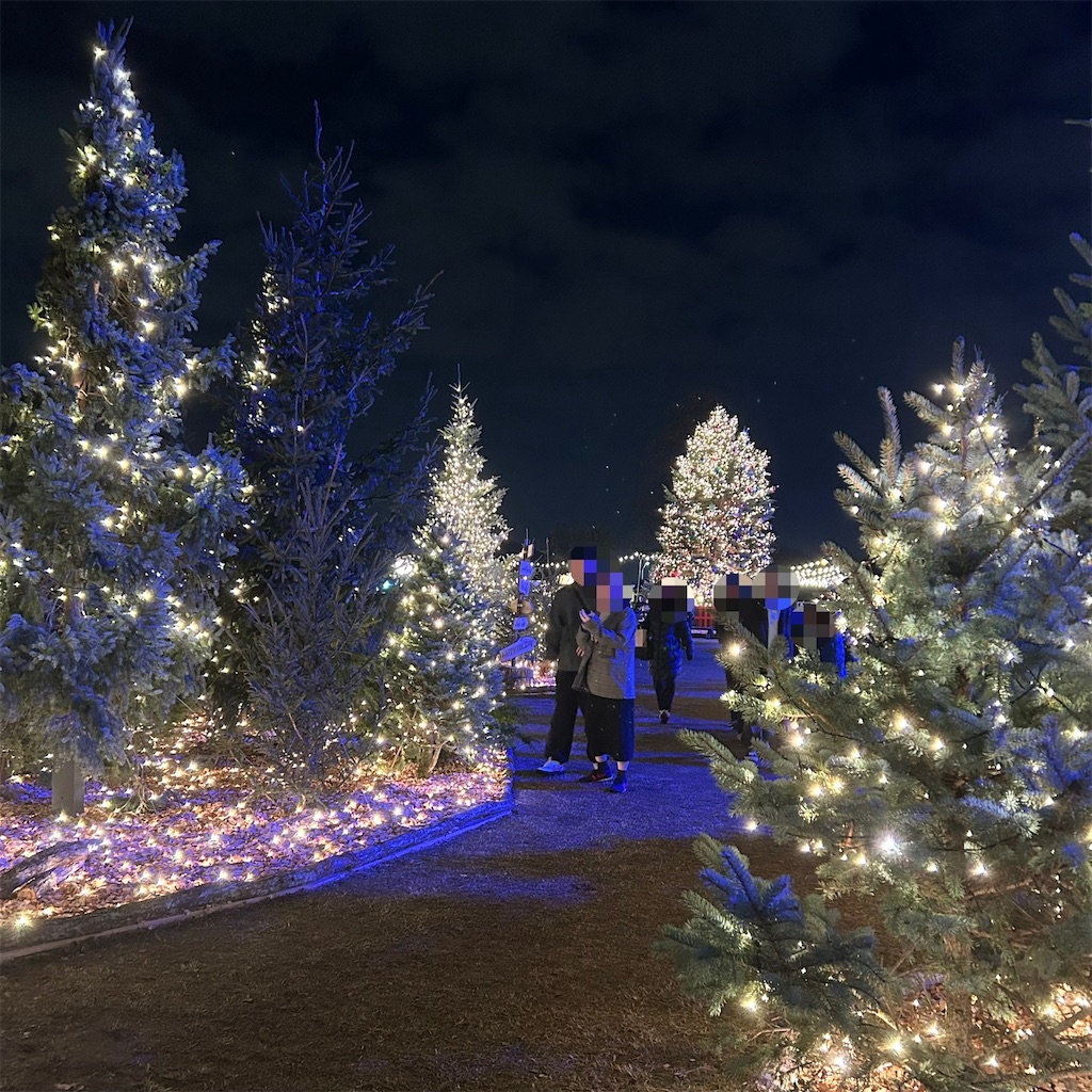 f:id:koshikakeol:20251126085406j:image