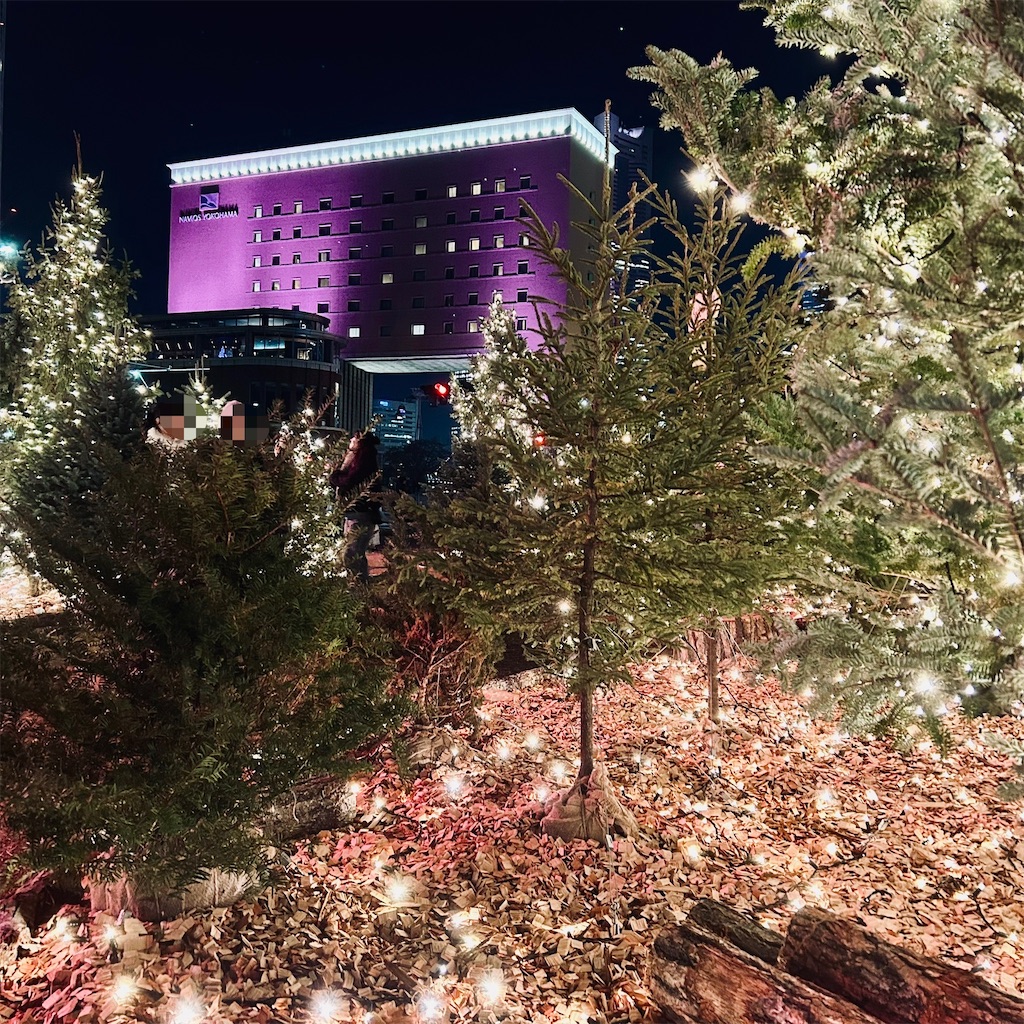 f:id:koshikakeol:20251126085428j:image