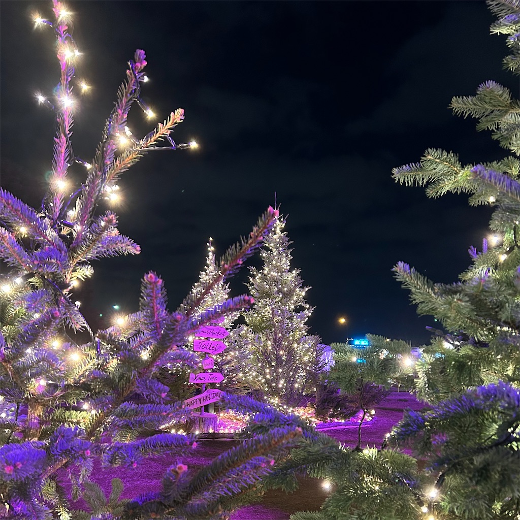 f:id:koshikakeol:20251127104025j:image