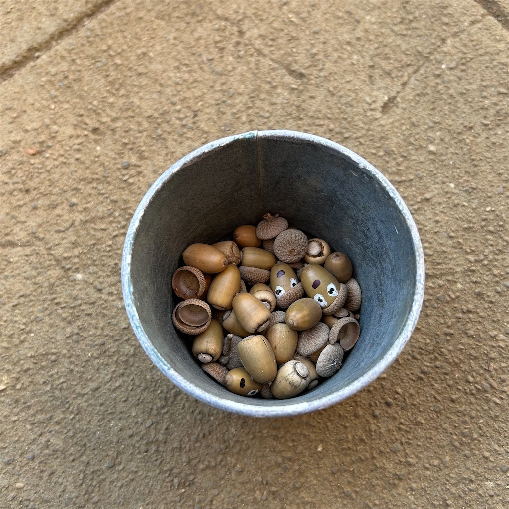 f:id:koshikakeol:20251203135453j:image