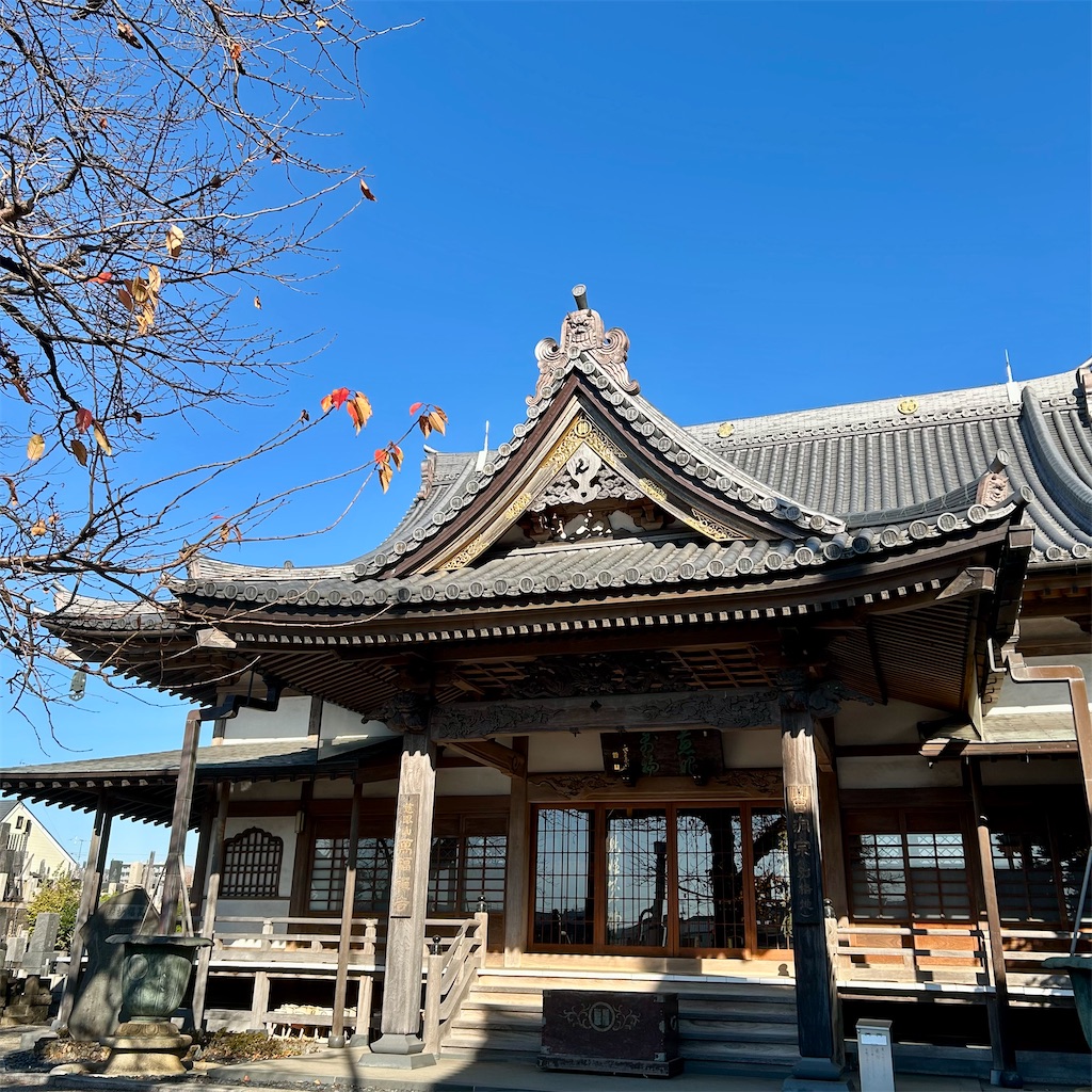 f:id:koshikakeol:20251208094228j:image