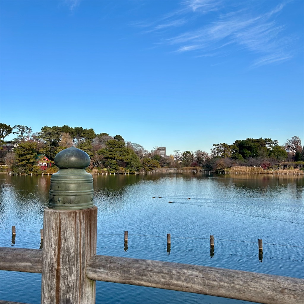 f:id:koshikakeol:20251214163631j:image