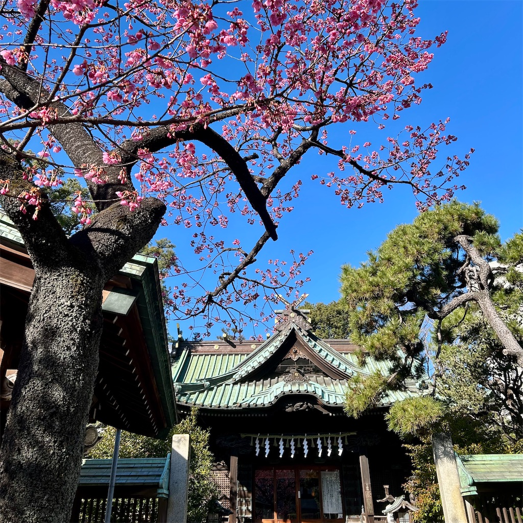 f:id:koshikakeol:20260122130558j:image