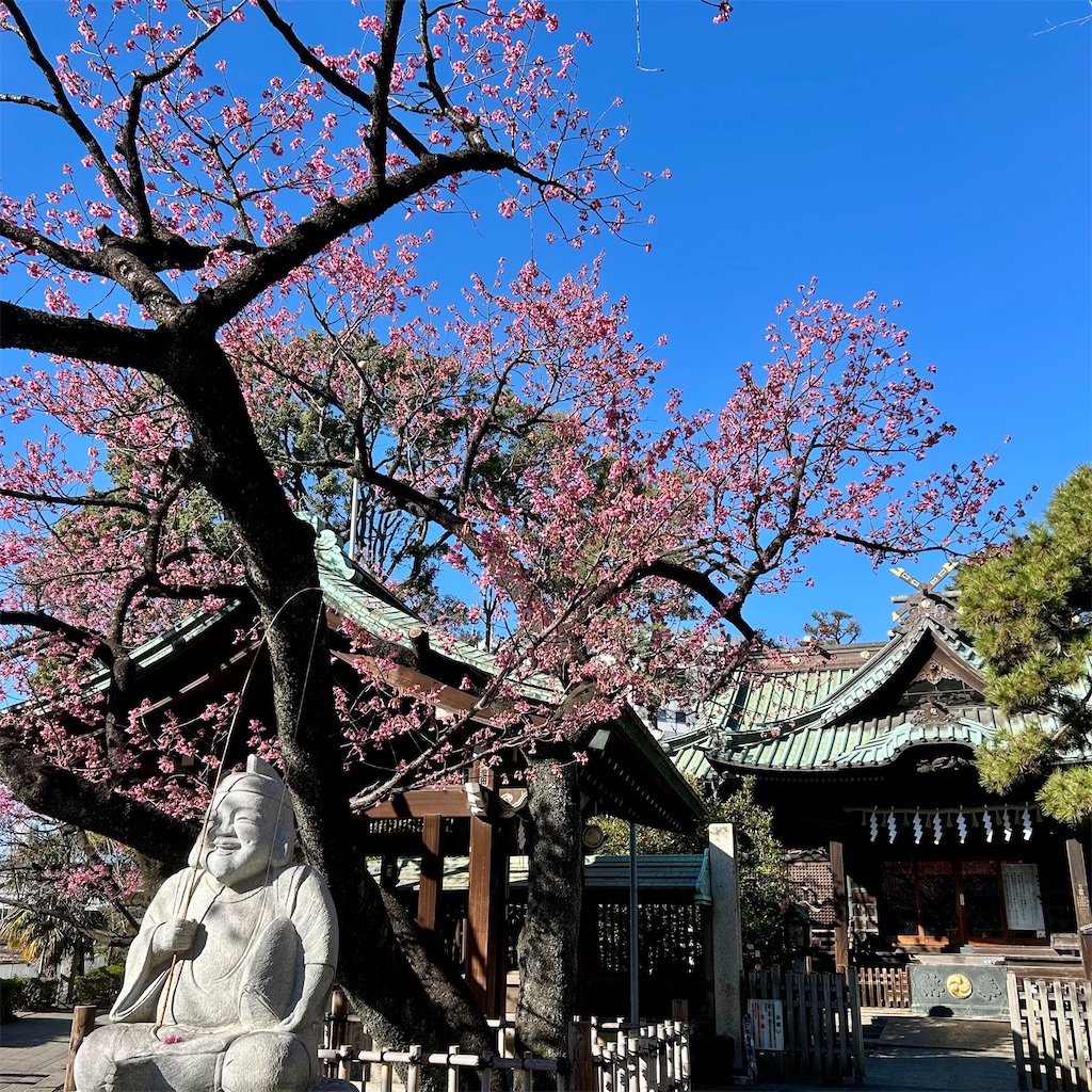 f:id:koshikakeol:20260122130602j:image