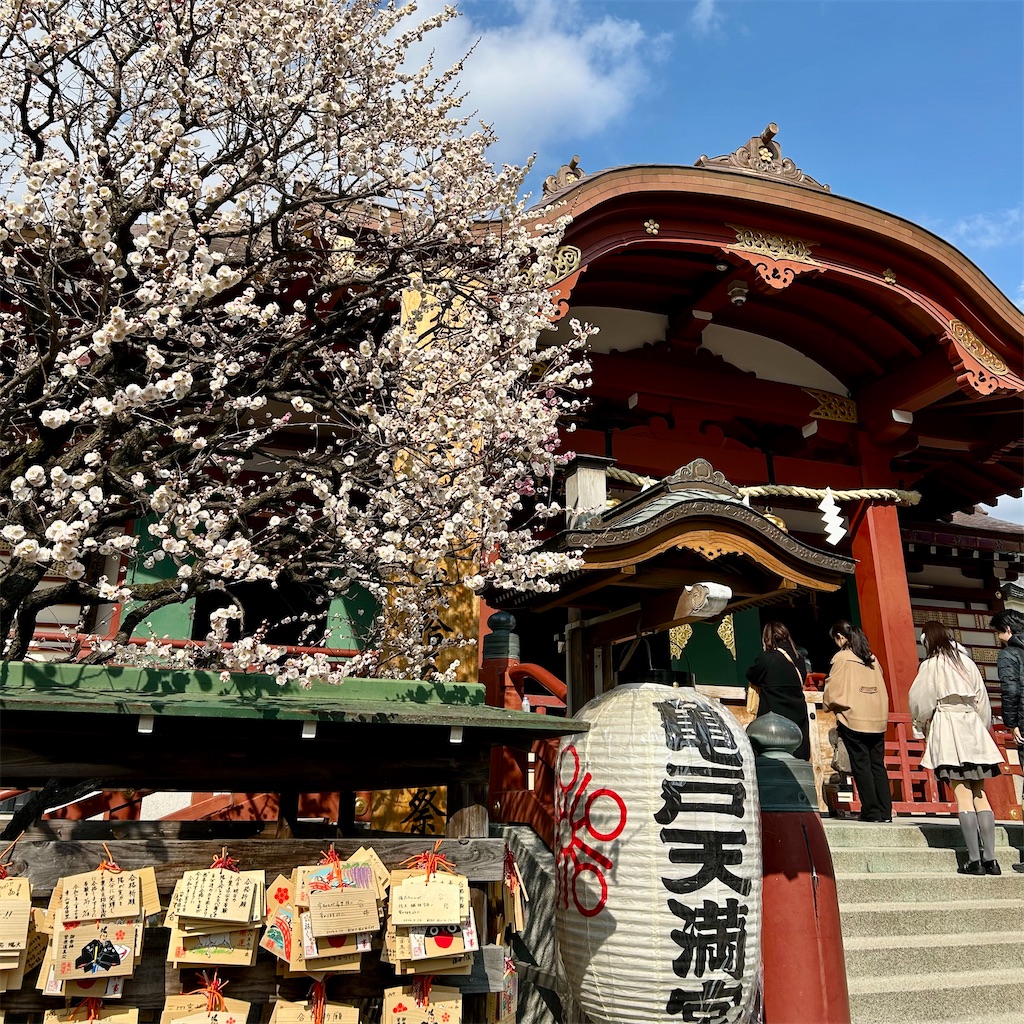 f:id:koshikakeol:20260218200043j:image