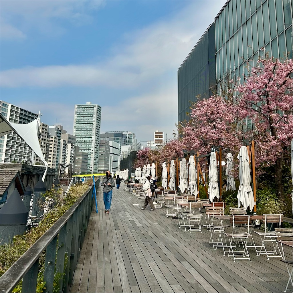 f:id:koshikakeol:20260222135157j:image