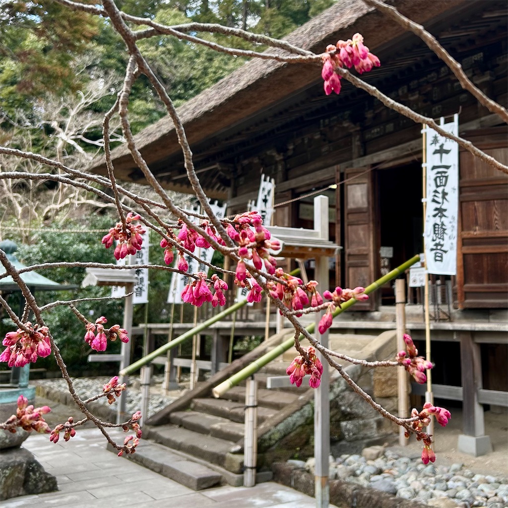 f:id:koshikakeol:20260227074452j:image