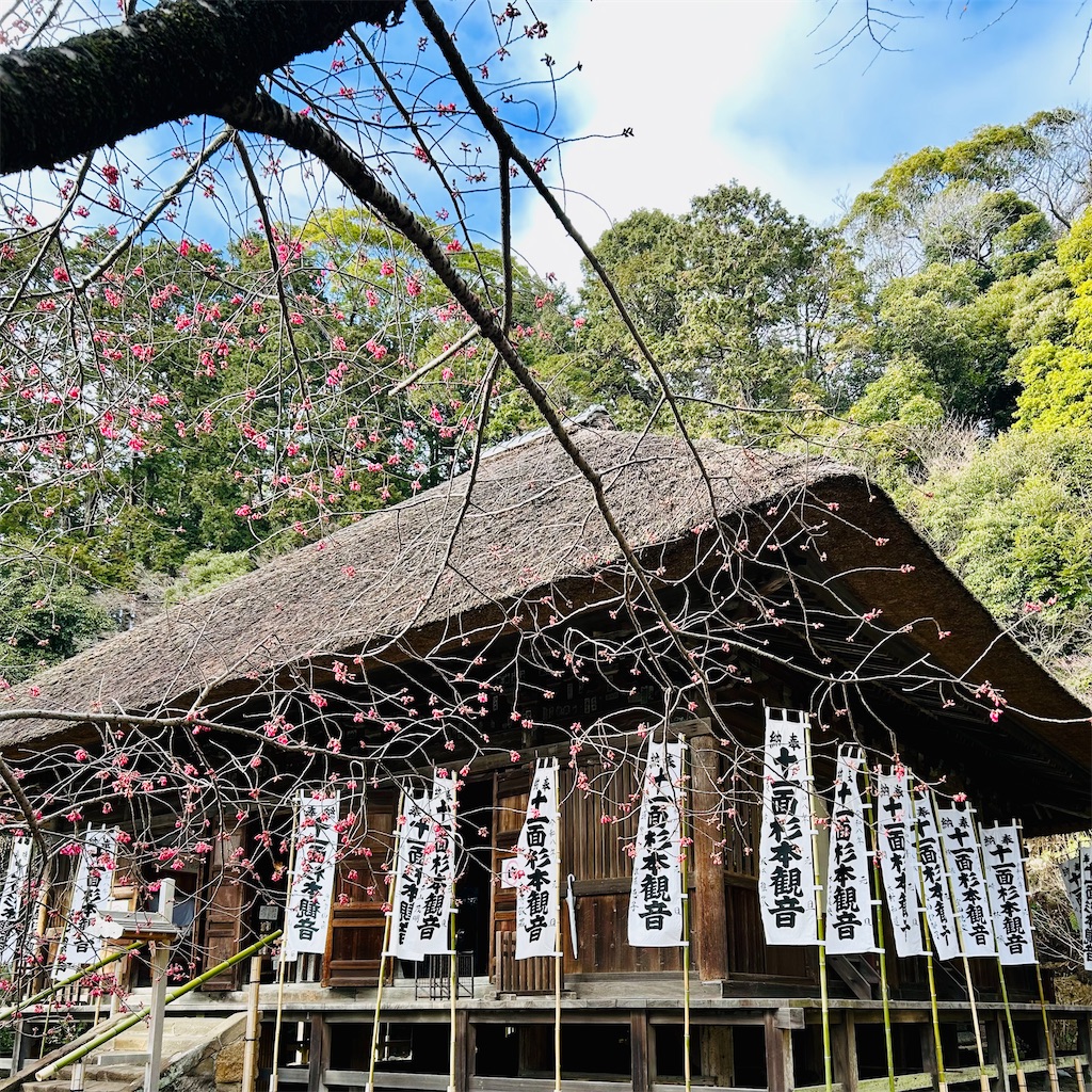 f:id:koshikakeol:20260227074850j:image