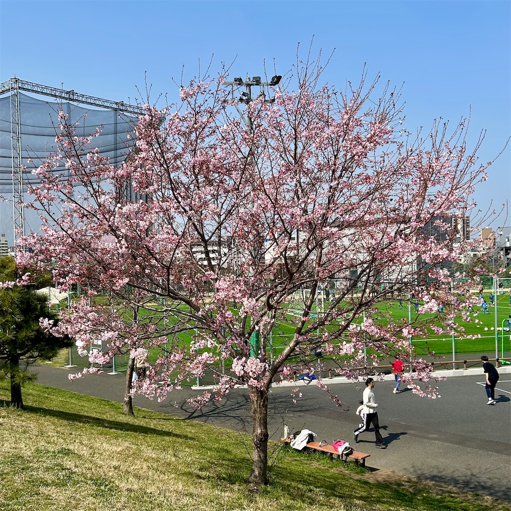 f:id:koshikakeol:20260322102051j:image
