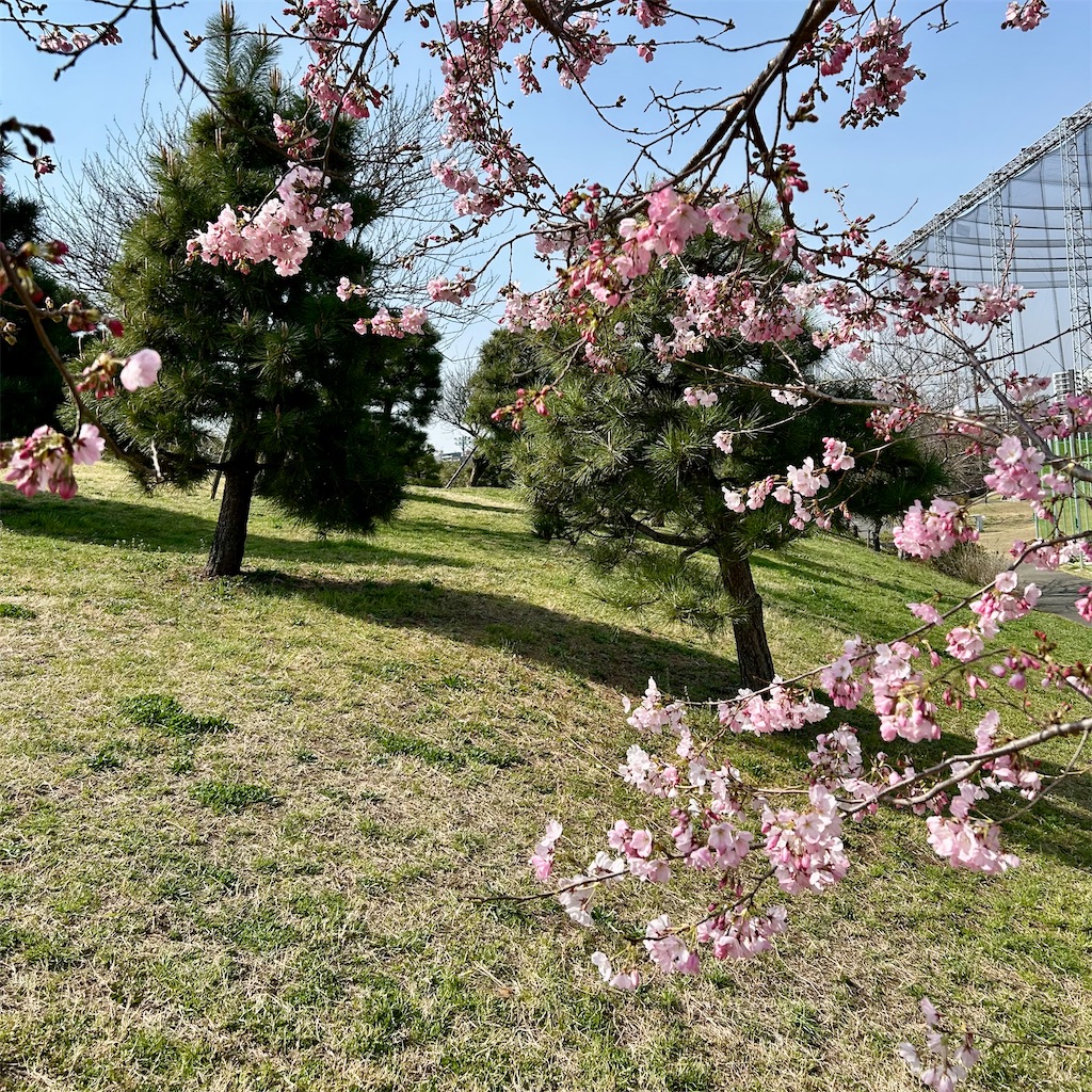 f:id:koshikakeol:20260322102100j:image