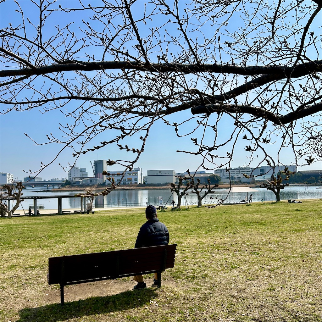 f:id:koshikakeol:20260322102121j:image