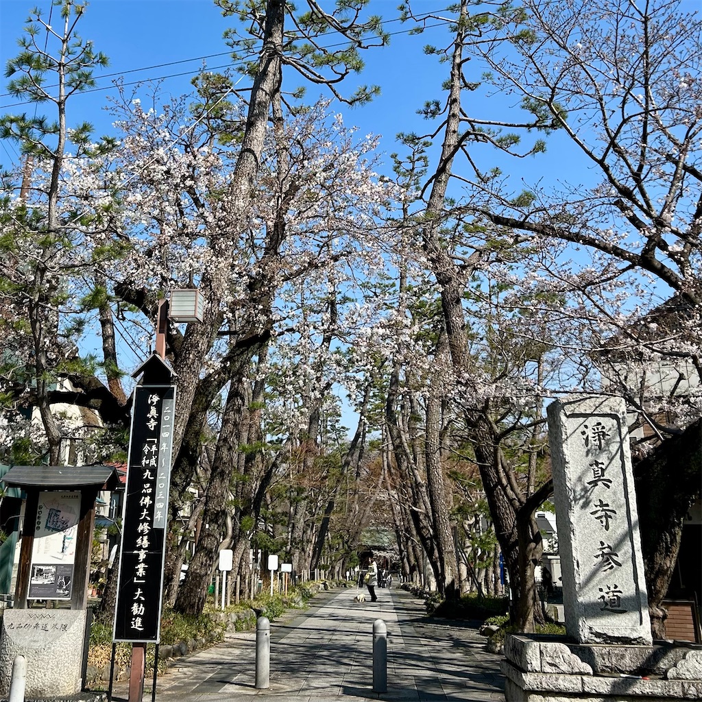 f:id:koshikakeol:20260324201738j:image