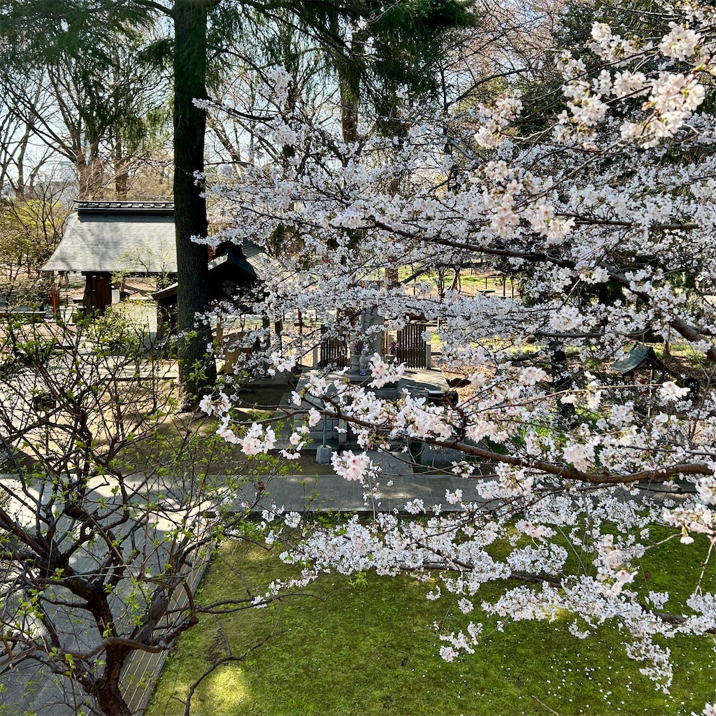 f:id:koshikakeol:20260324201743j:image