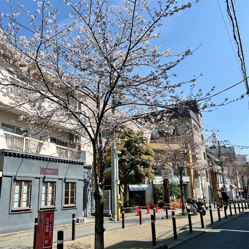 f:id:koshikakeol:20260324202046j:image