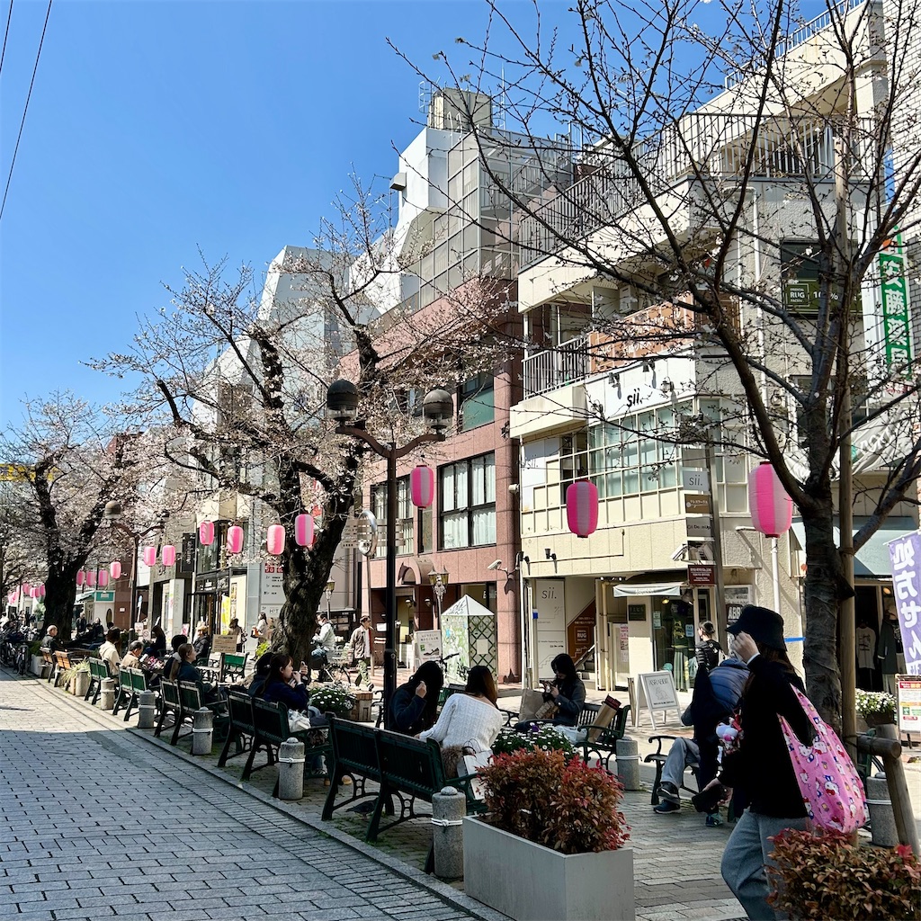 f:id:koshikakeol:20260324202053j:image