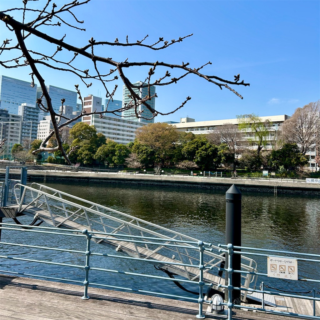 f:id:koshikakeol:20260324202352j:image
