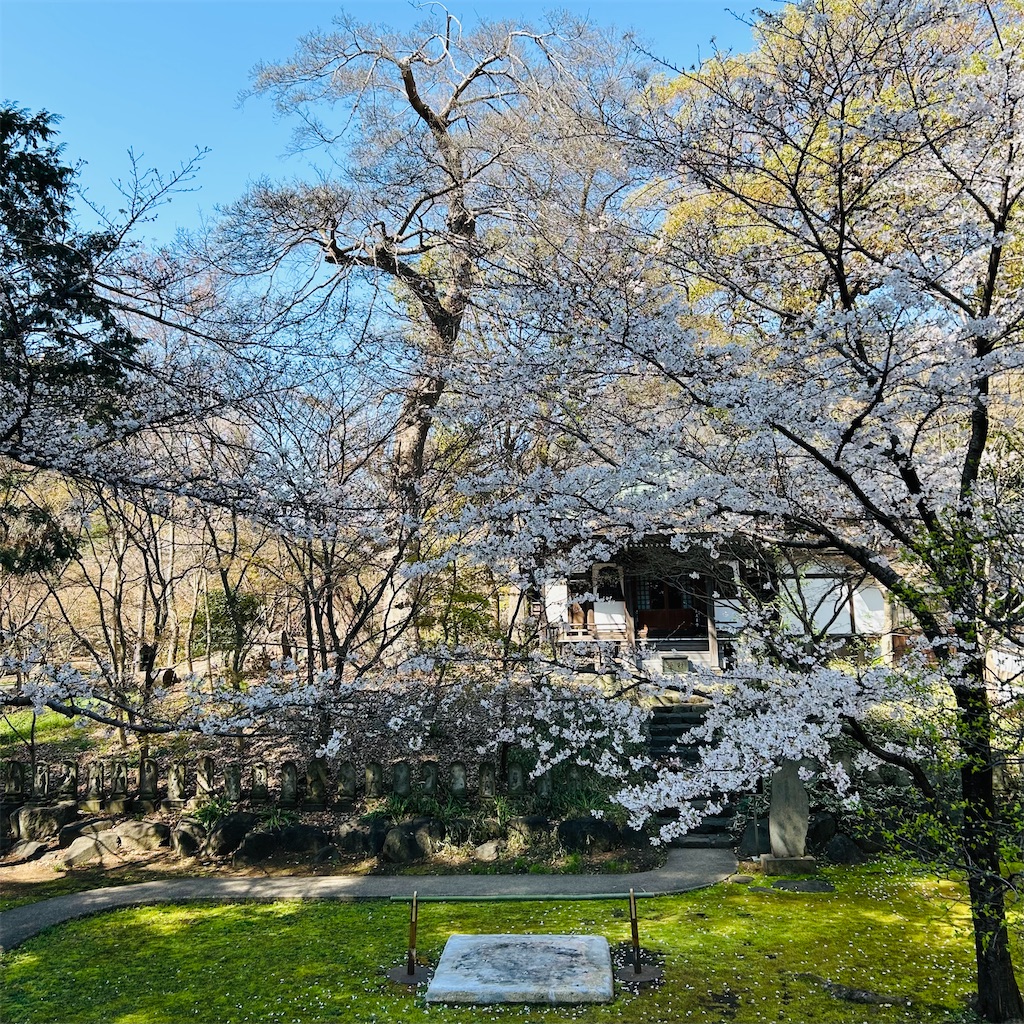 f:id:koshikakeol:20260324205020j:image