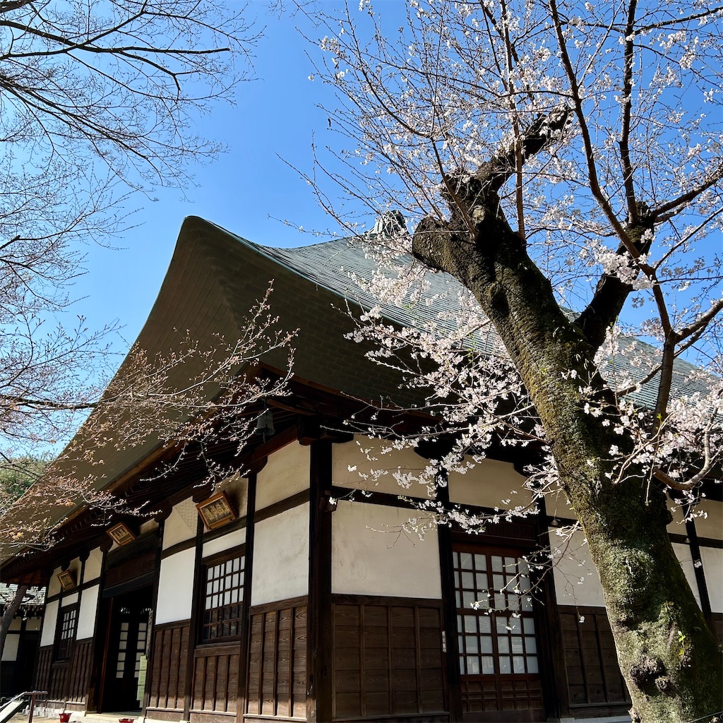 f:id:koshikakeol:20260324205024j:image