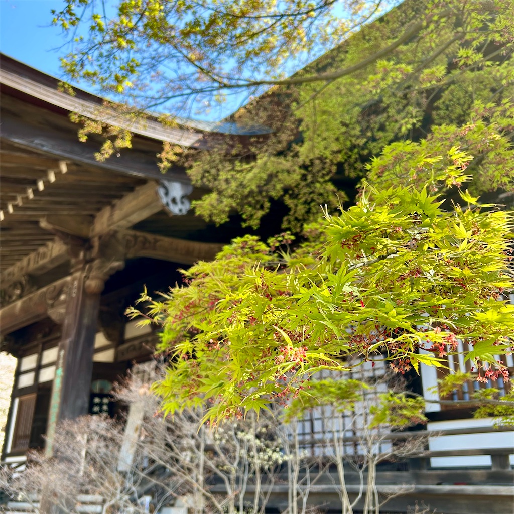 f:id:koshikakeol:20260324205028j:image