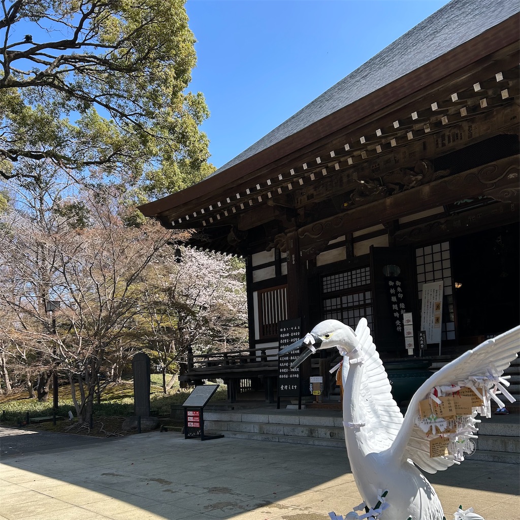 f:id:koshikakeol:20260324205057j:image