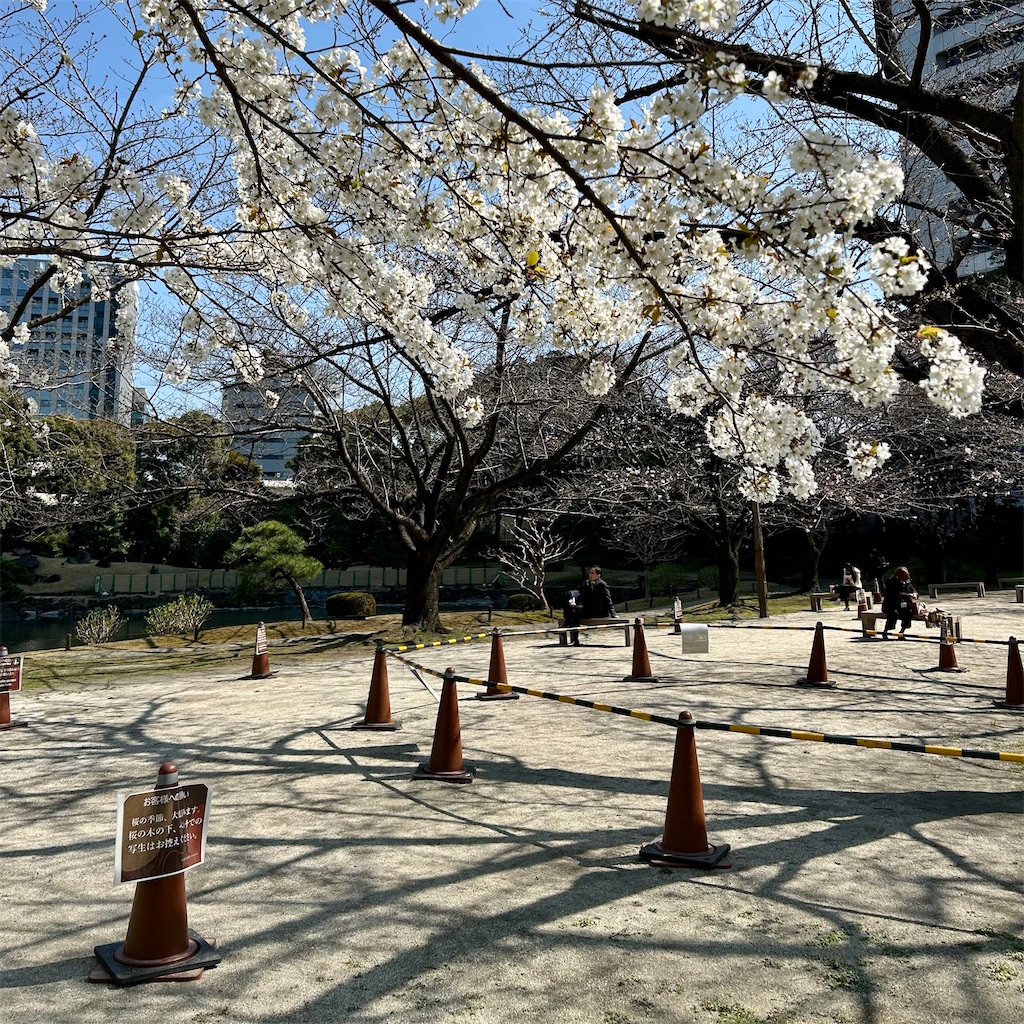 f:id:koshikakeol:20260324205734j:image