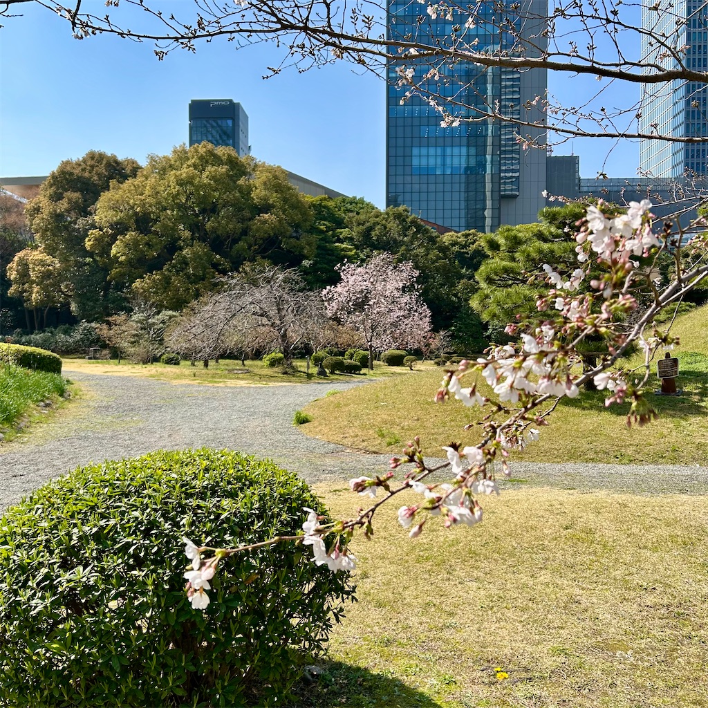 f:id:koshikakeol:20260324205828j:image