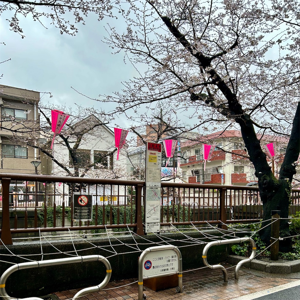 f:id:koshikakeol:20260326130025j:image