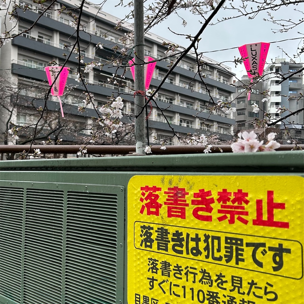 f:id:koshikakeol:20260326130052j:image