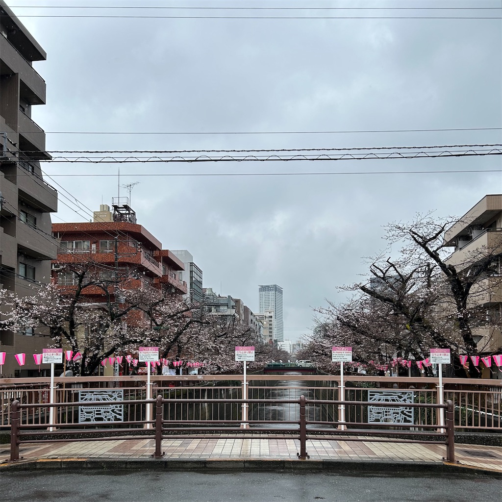 f:id:koshikakeol:20260326130130j:image