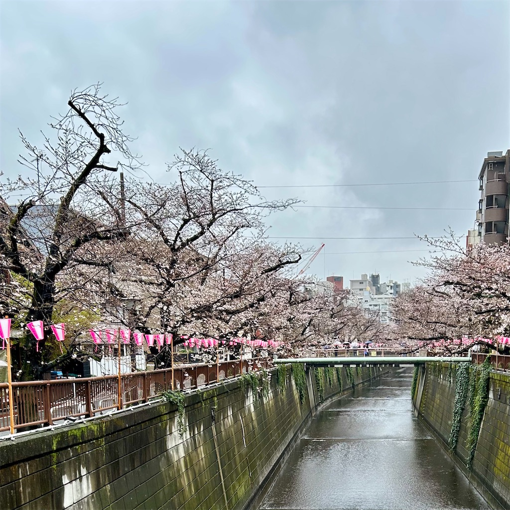 f:id:koshikakeol:20260326145328j:image
