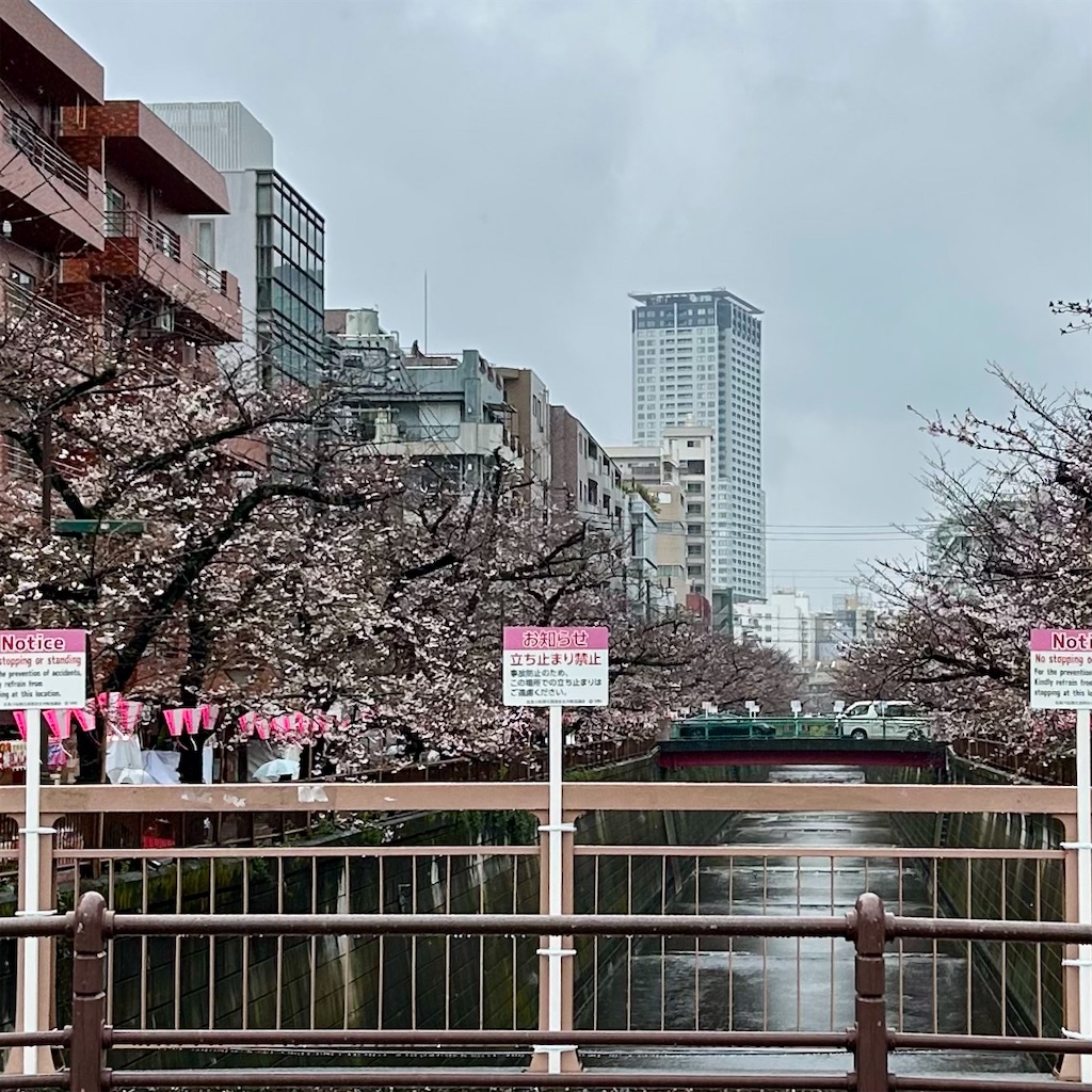 f:id:koshikakeol:20260326155827j:image