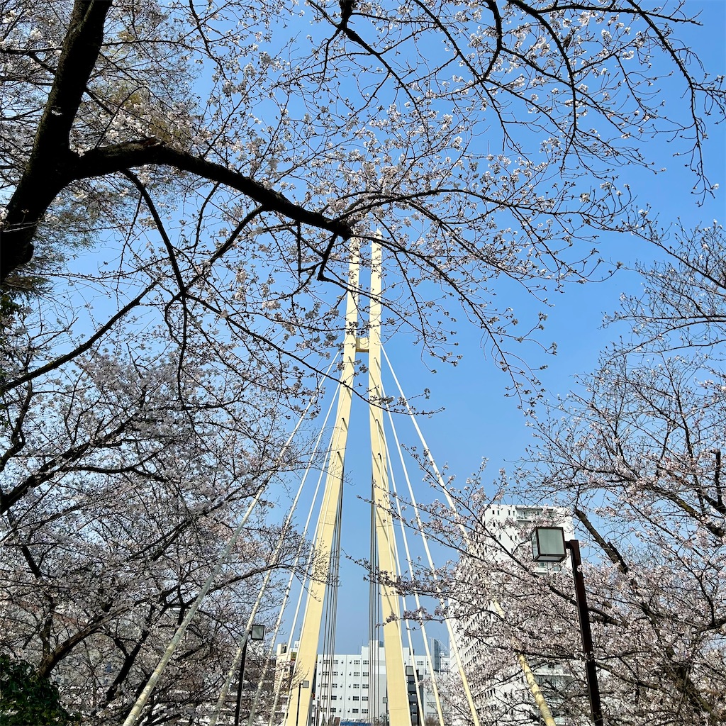 f:id:koshikakeol:20260329132338j:image