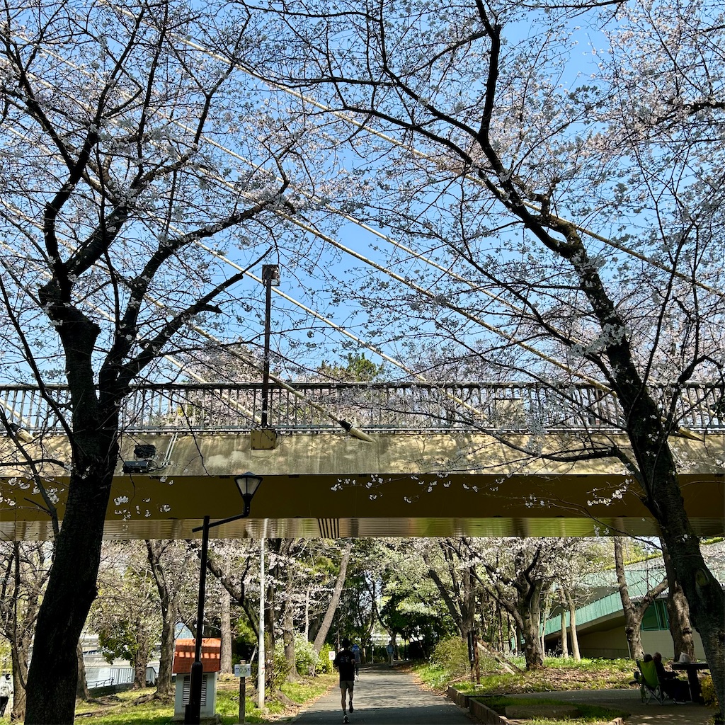 f:id:koshikakeol:20260329132507j:image