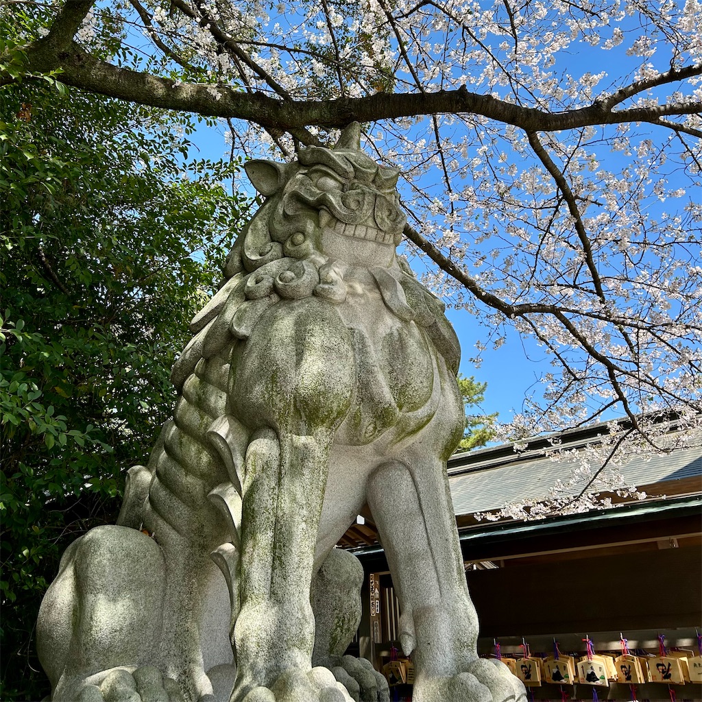 f:id:koshikakeol:20260403165803j:image f:id:koshikakeol:20260403165803j:image