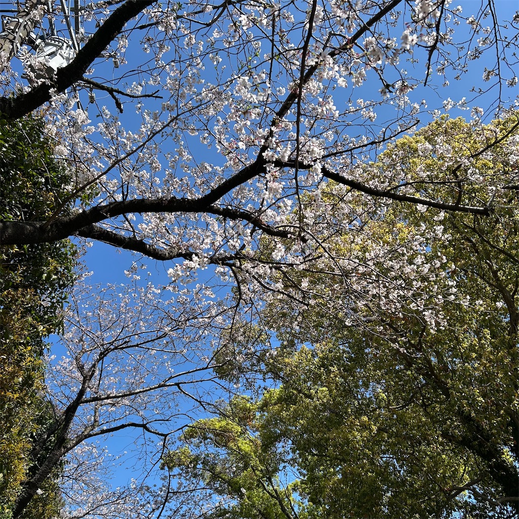 f:id:koshikakeol:20260403165818j:image f:id:koshikakeol:20260403165818j:image