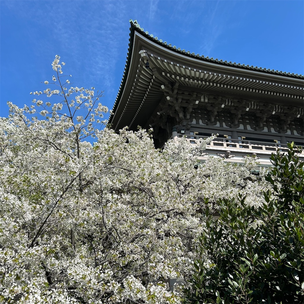 f:id:koshikakeol:20260403170328j:image