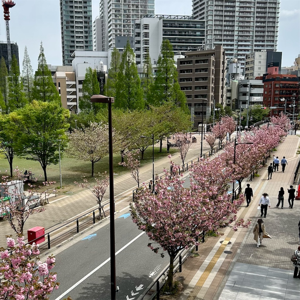 f:id:koshikakeol:20260413145711j:image
