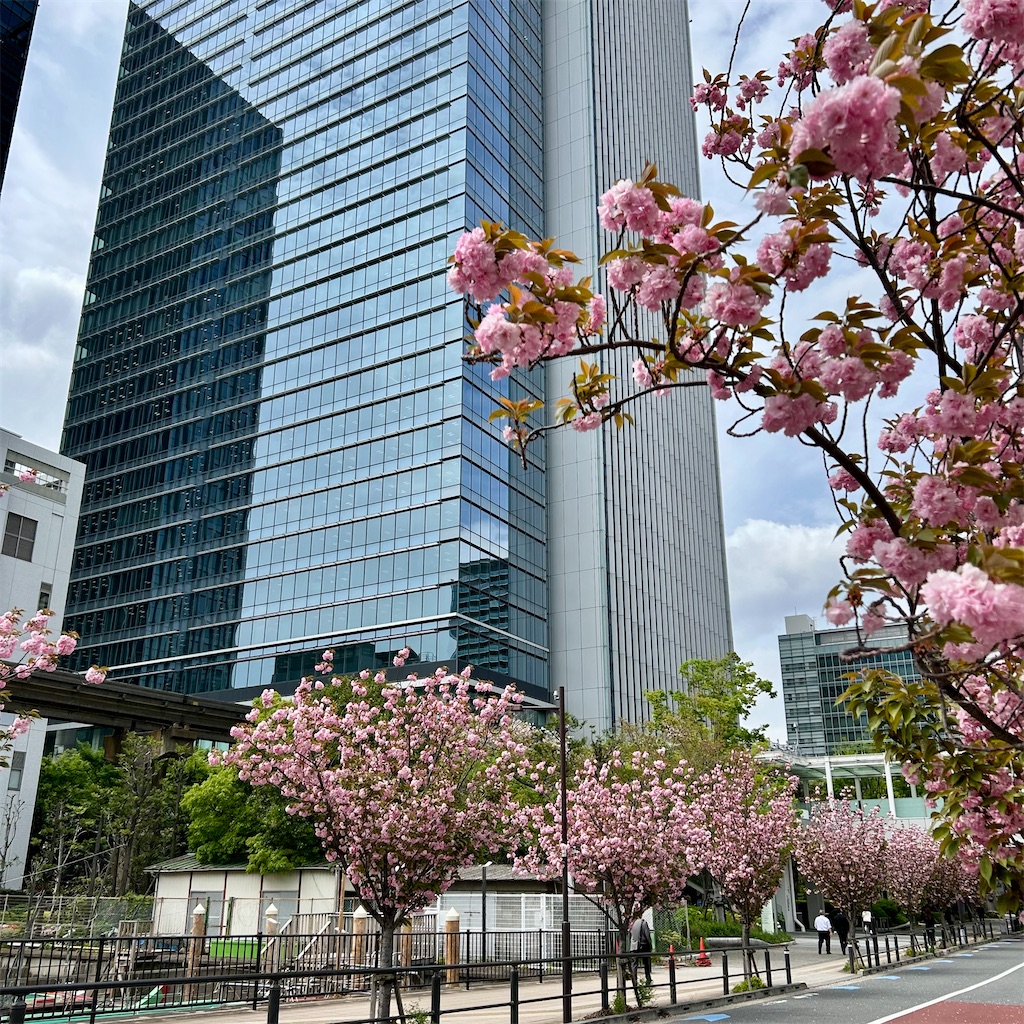 f:id:koshikakeol:20260413145721j:image