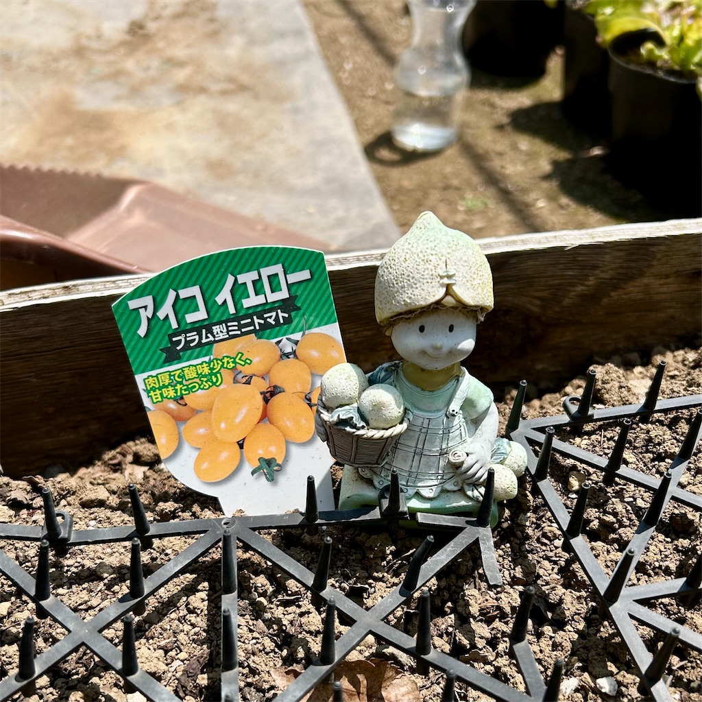 f:id:koshikakeol:20260518132602j:image f:id:koshikakeol:20260518132602j:image