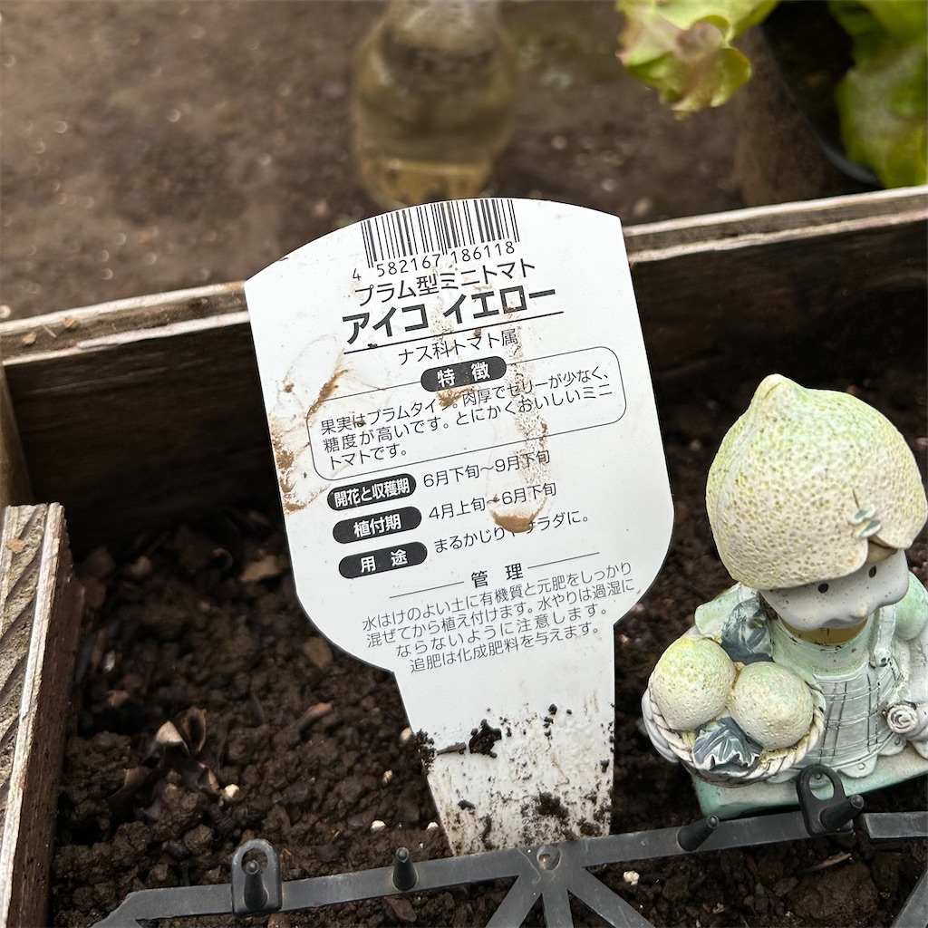 f:id:koshikakeol:20260523074729j:image f:id:koshikakeol:20260523074729j:image