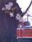 20080403034621