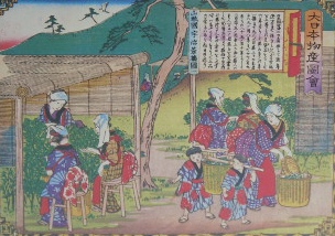 f:id:koshozouzou:20120615092951j:image